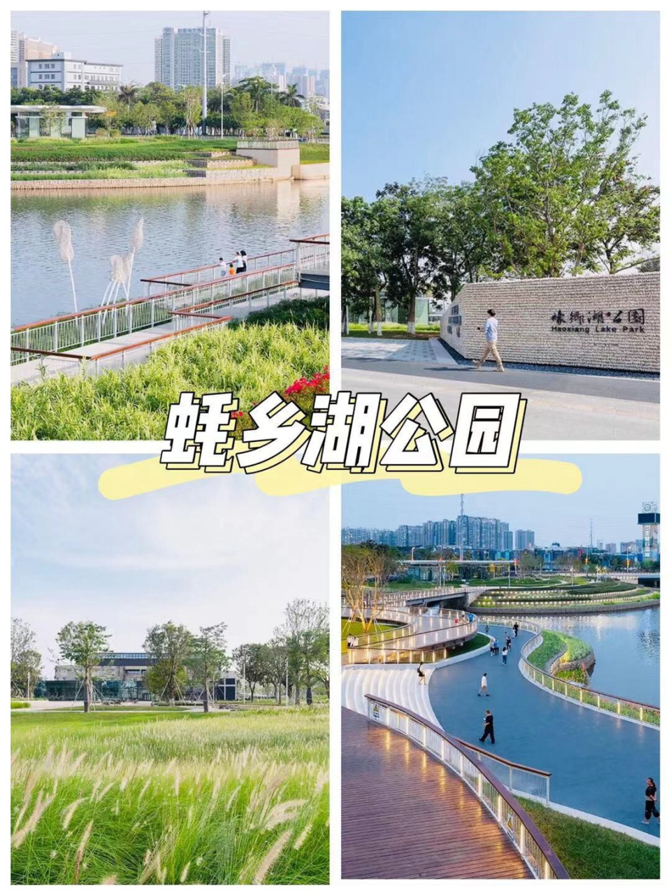 旖旎风光 | 深圳蚝乡湖公园95 在深圳聊到沙井,大家都离不开蚝04