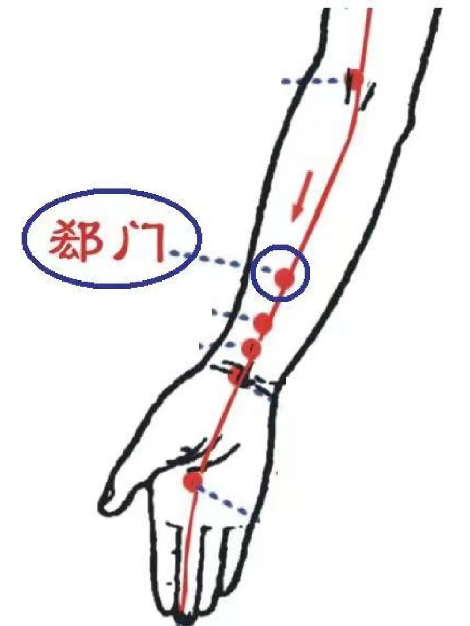 郄门的准确位置图片图图片