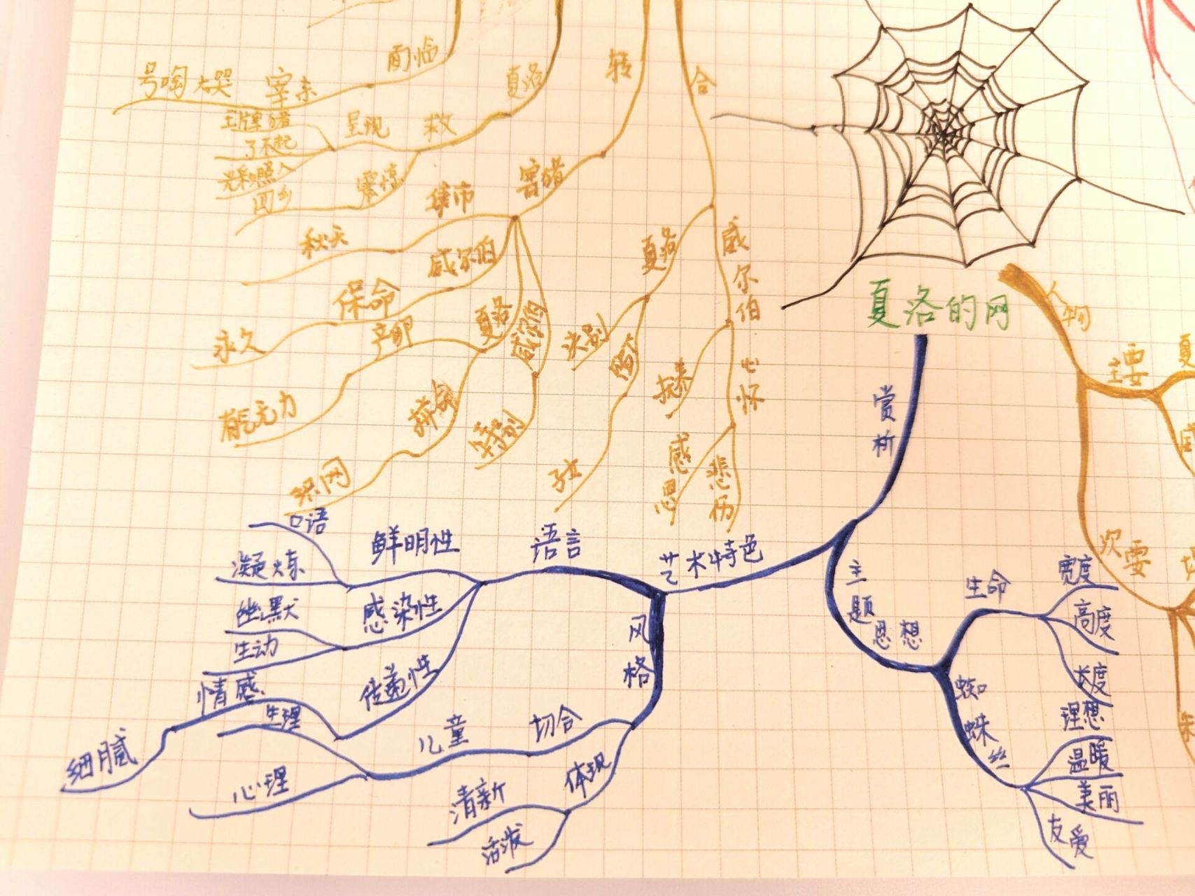 夏洛的网思维导图大全图片