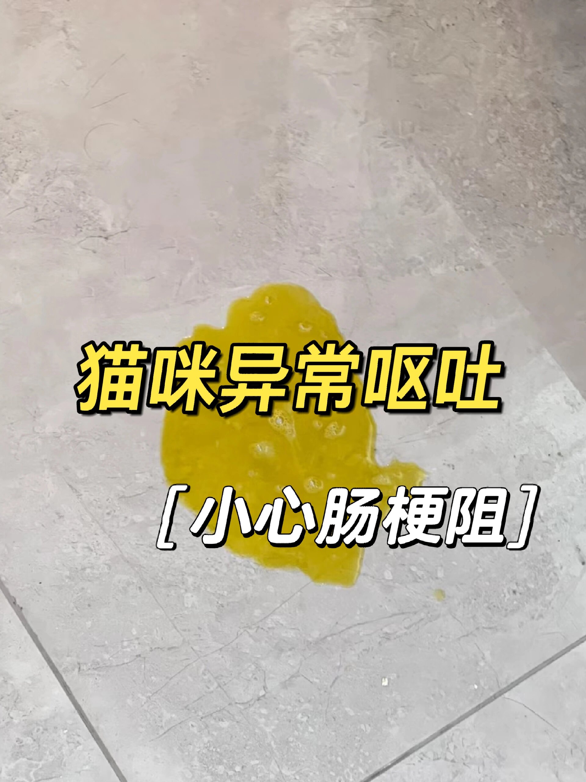 猫咪异常呕吐00注意可能肠梗阻了 92猫咪肠梗阻是一种常见的宠物
