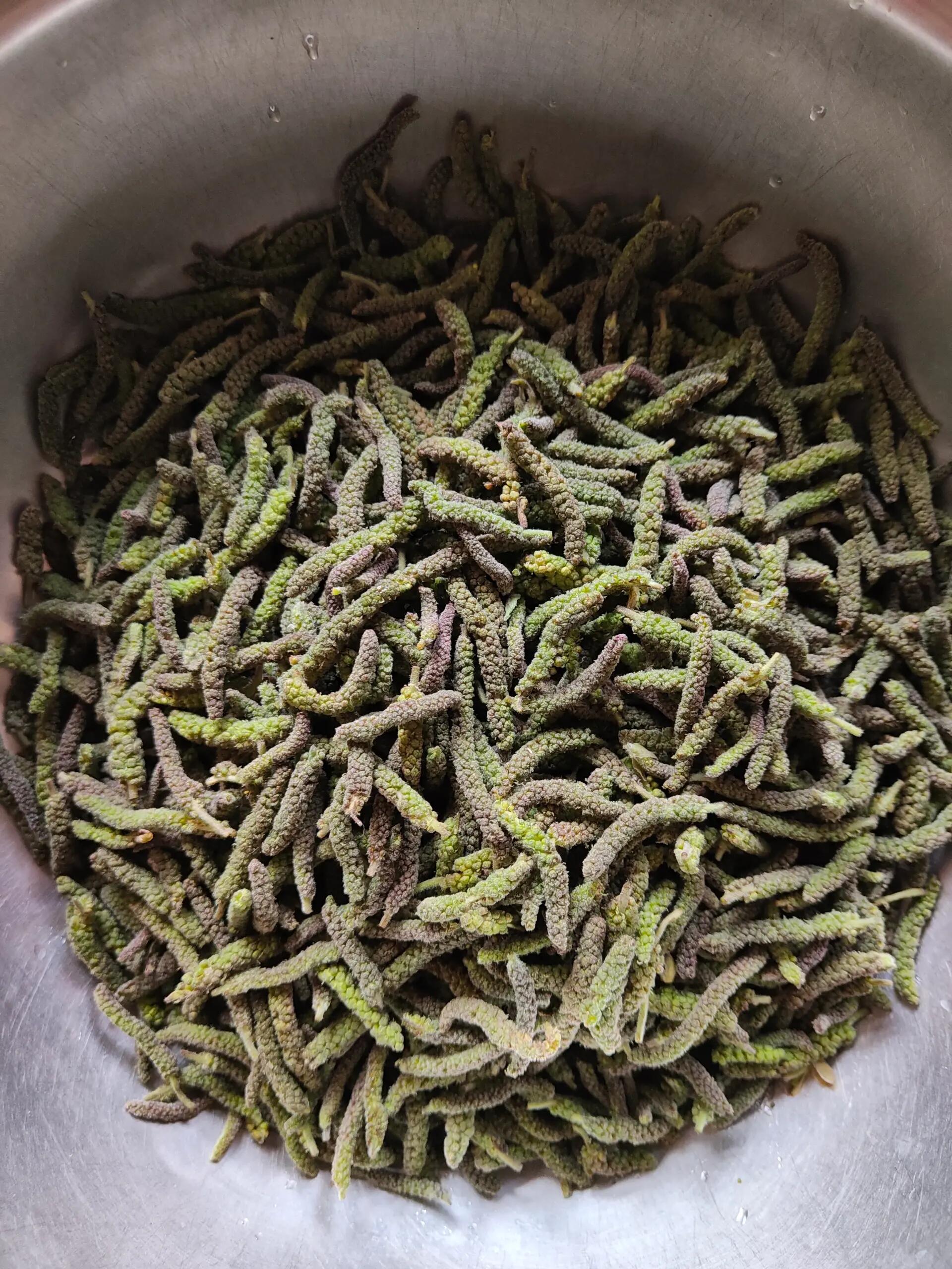 炸楮不揪 河南人春天餐桌上的美食