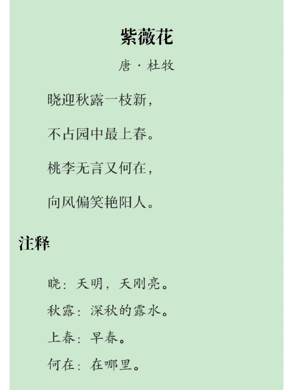 每日一首古诗词(266)——杜牧《紫薇花》 译文 一支初绽的紫薇在秋露
