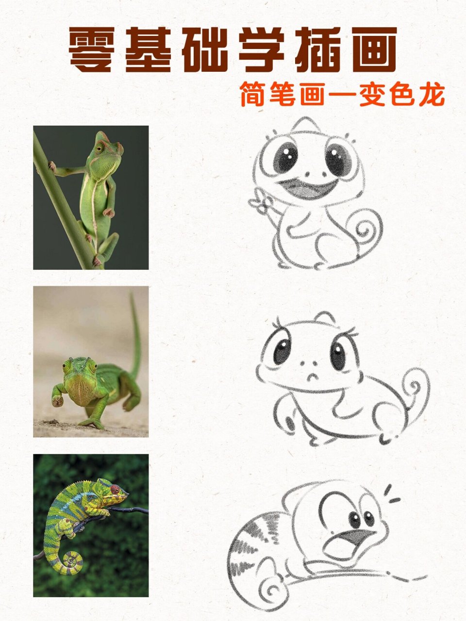 零基础学画画|简笔画—变色龙06 动物课案例
