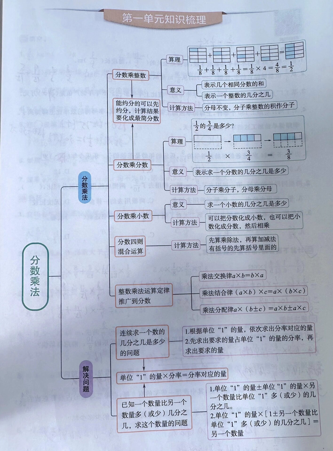 六年级上册数学知识树图片