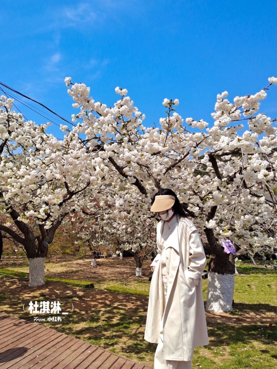 附近大学生可以冲 99旅顺203樱花园 01地铁旅顺地铁站(出站换公交