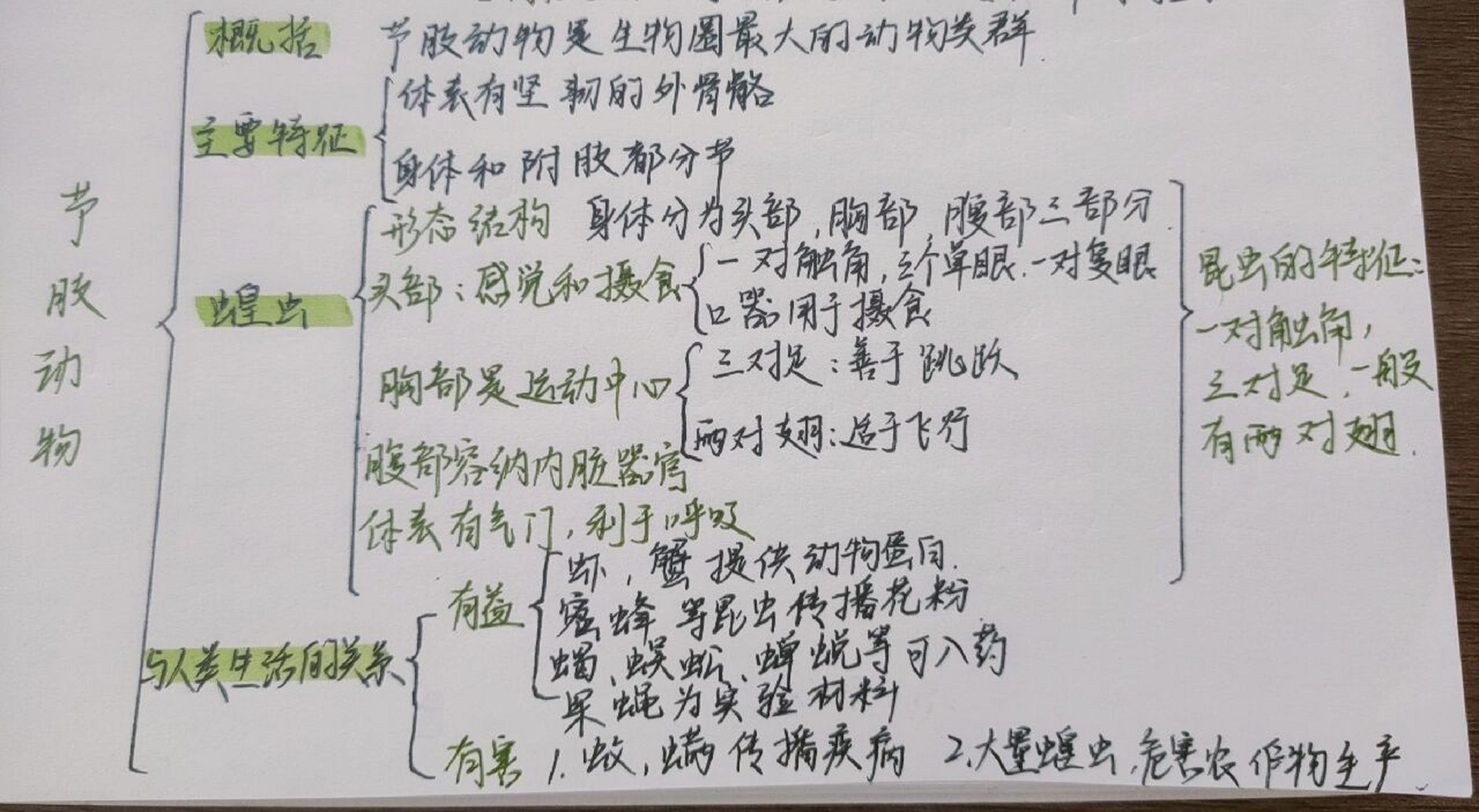 八上生物思维导图3 软体动物和节肢动物