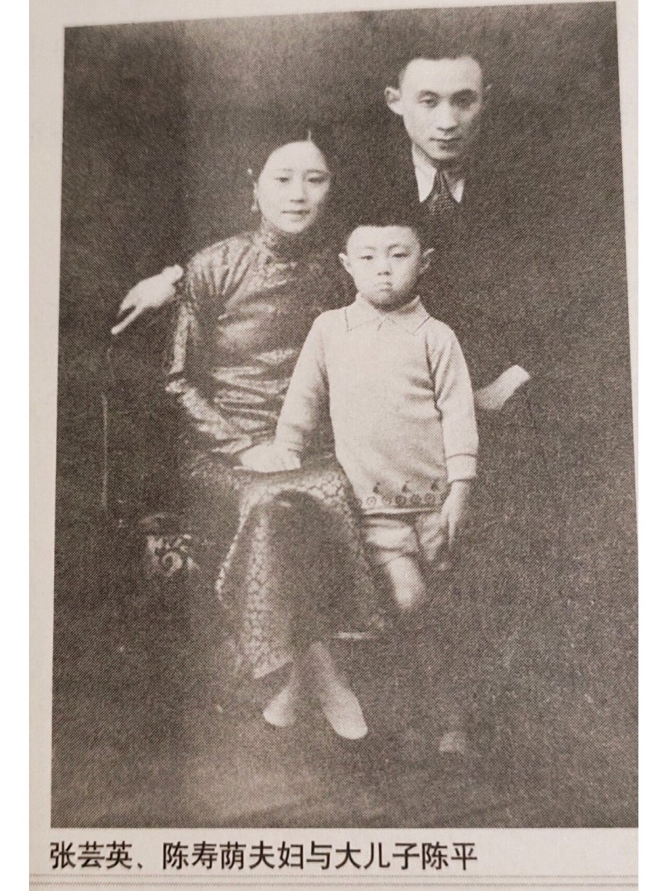 张芸英,她让宋子文的下跪成了笑话 北 伐前,民国元老张静江被请到广州