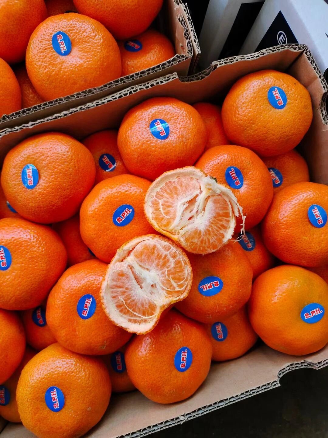 澳洲澳柑2ph传说中15一颗的柑橘,新发地直发 2ph澳柑到货了,一箱12斤