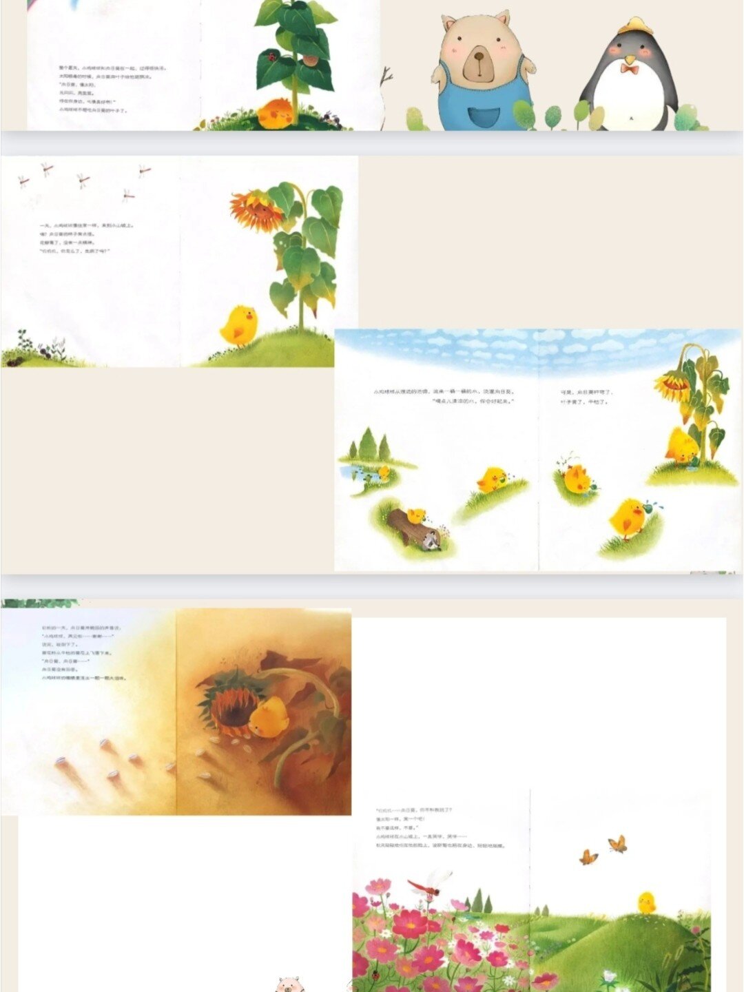 《向日葵的一生》 78利用绘本进行创作 78锻炼小朋友们的故事联想