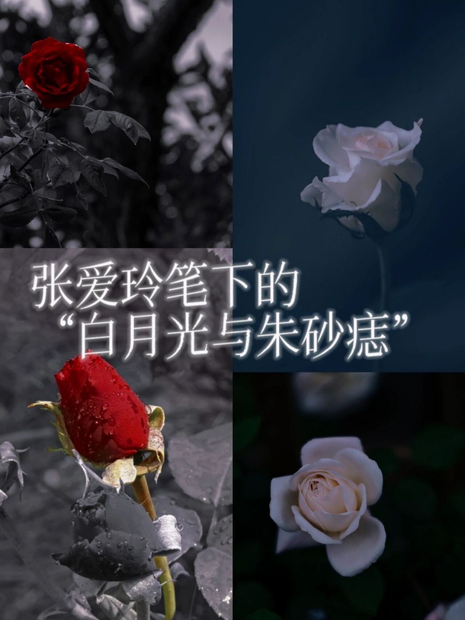 张爱玲经典语录摘抄|《红玫瑰与白玫瑰》 每一个女子的灵魂中都同时