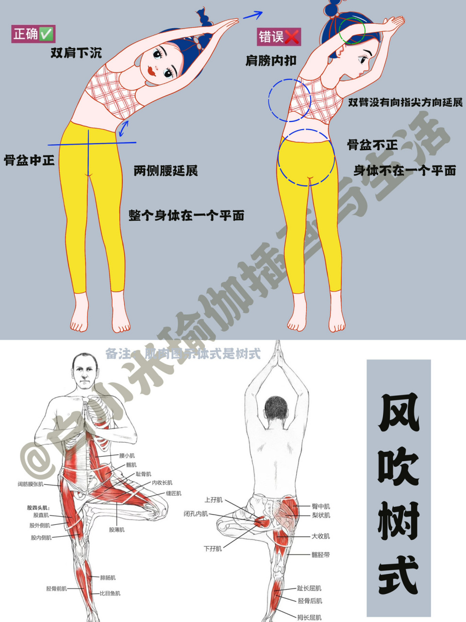 风吹树式小人图图片