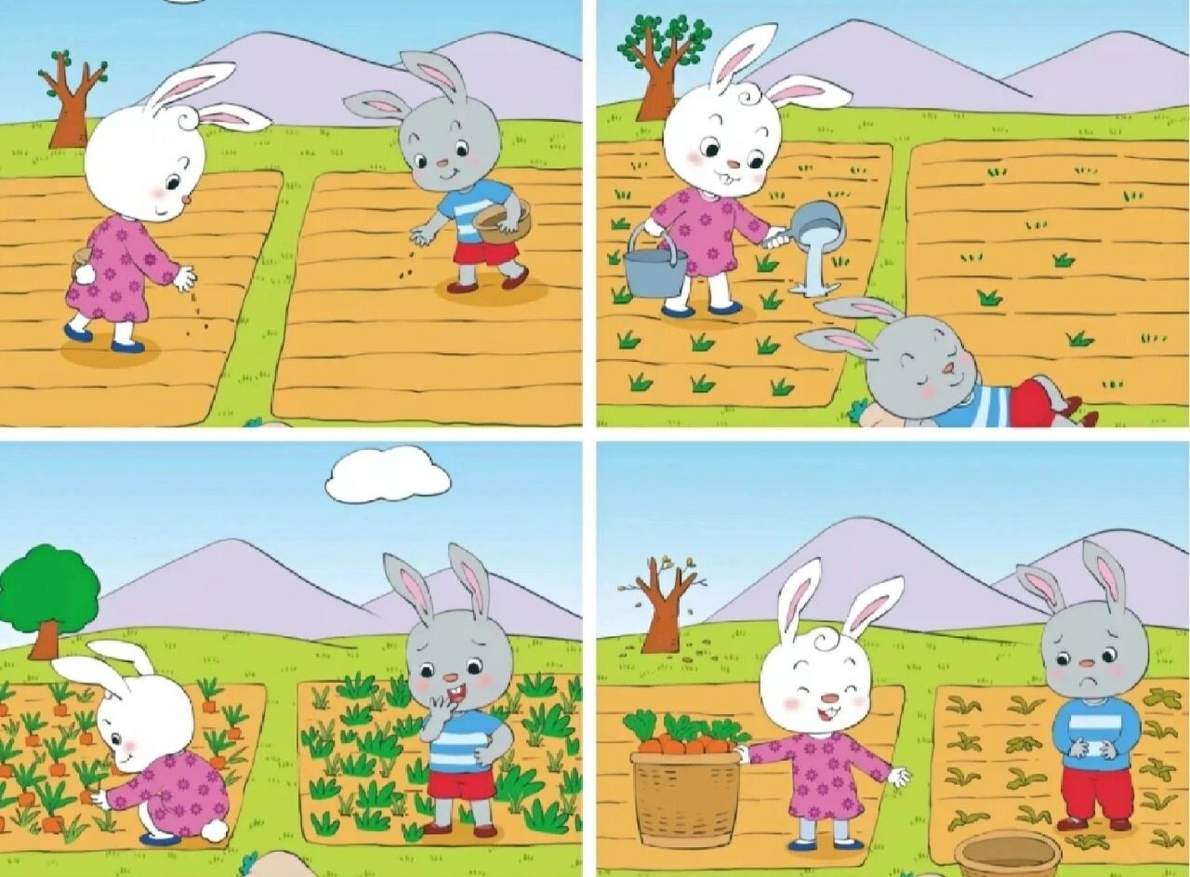 小白兔种菜看图图片