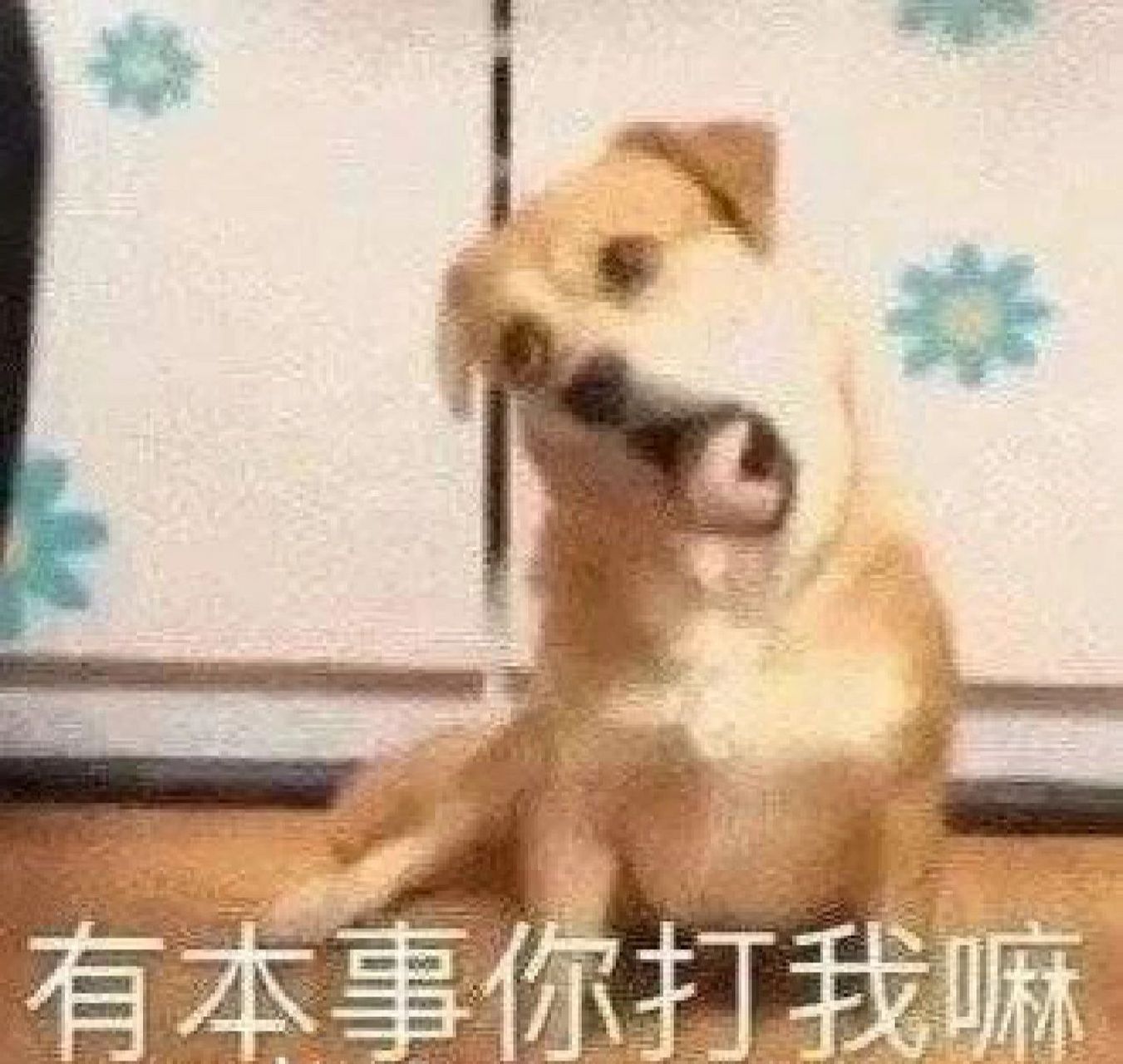 怼人表情包集 没理都要争三分,有理为何要绕人97