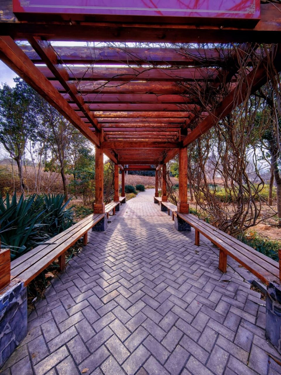 图①   公园常见的长廊,这种大家可以用广角镜头拍摄,突出长廊的深邃