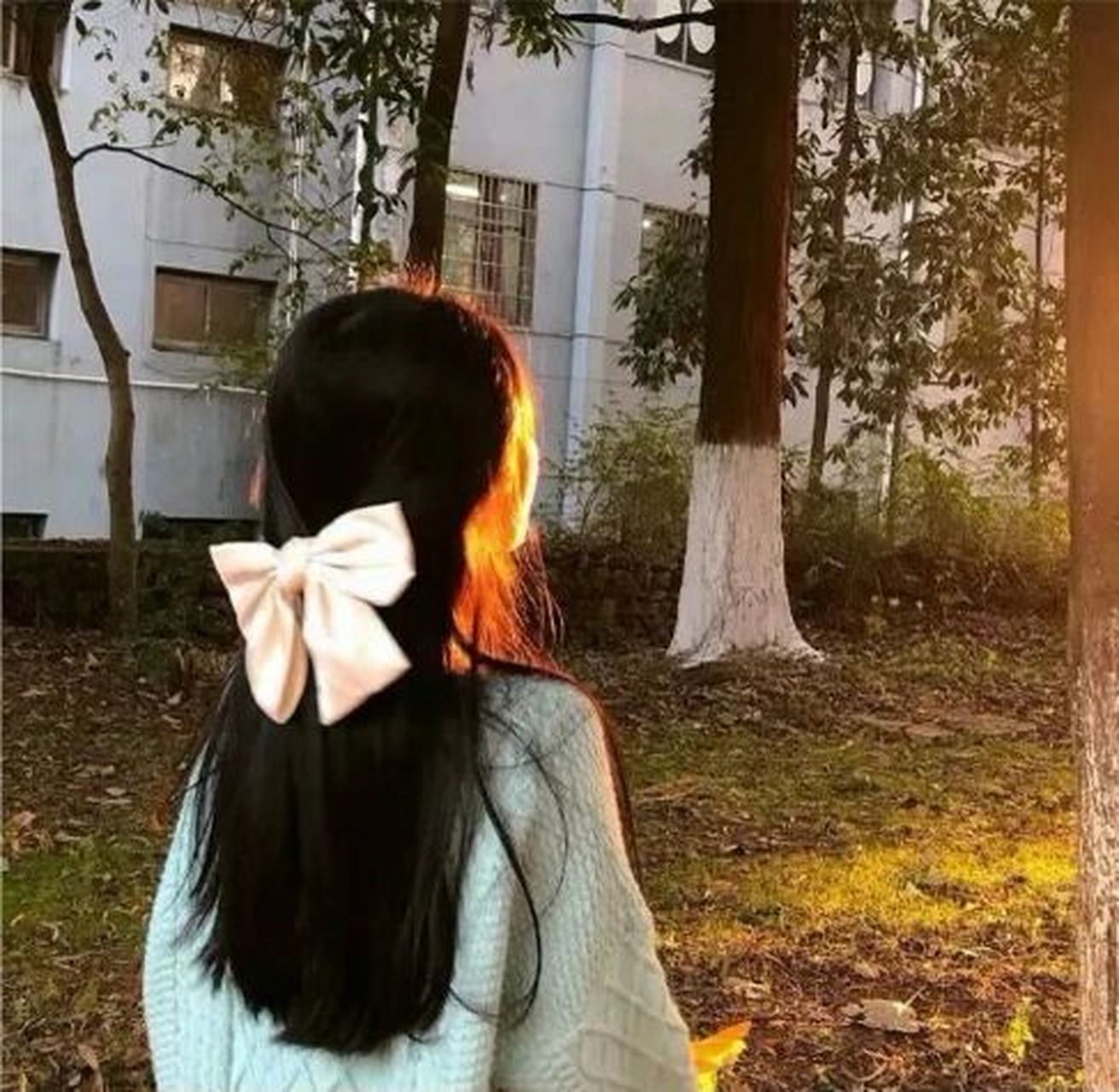 夕阳女背影头像