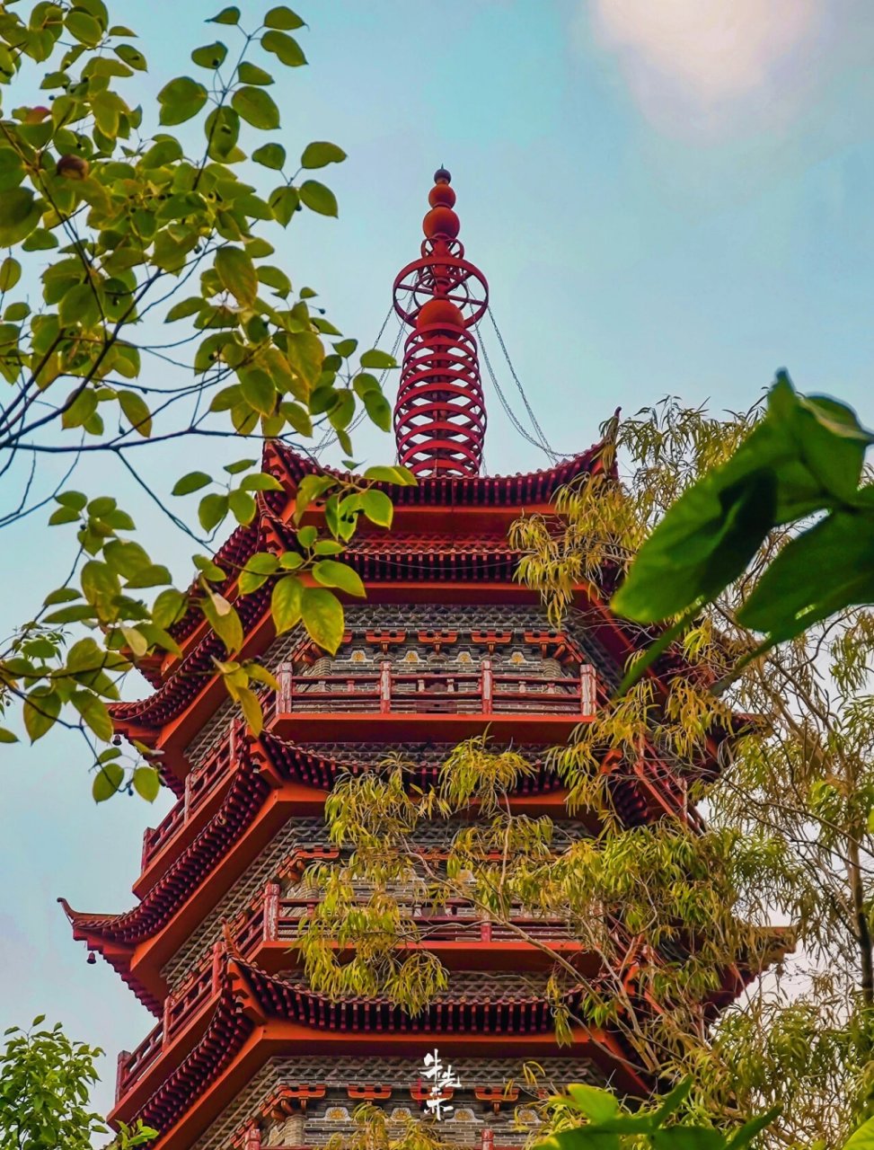 南康|东山公园 我去找你,比我爱你更有意义.