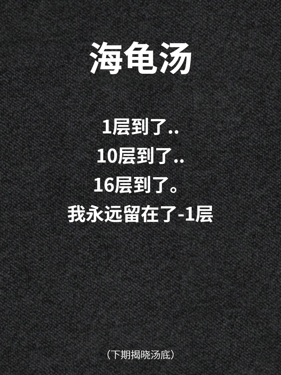 海龟汤检测报告汤底图片