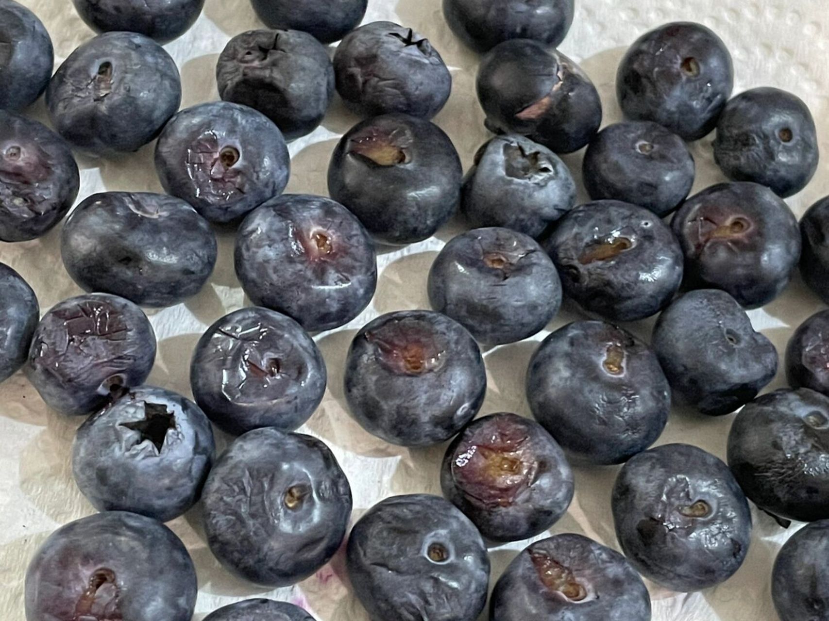 蓝莓爱好者狂怒! 好生气好生气!