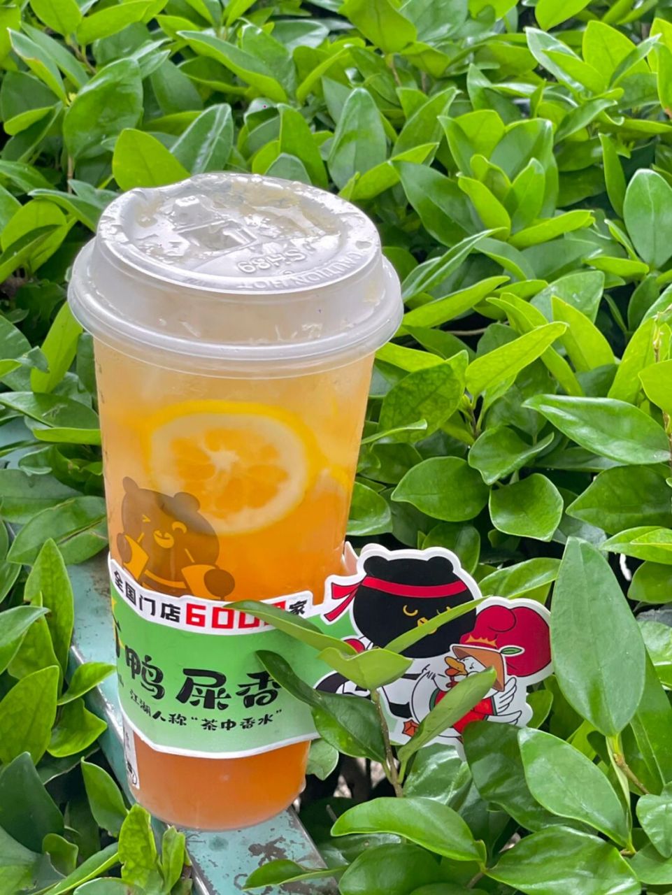 甜啦啦新品 熊黑蛋暴打鸭屎香 真的巨香! 都快去给我喝!