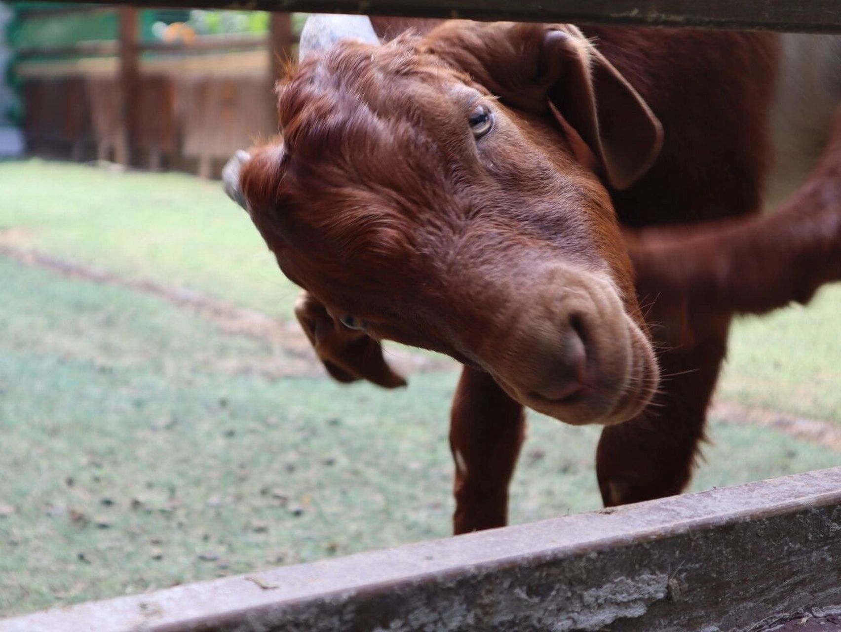 周末短游/台州海洋世界 从温州出发,两个小时到达台州海洋世界 门票
