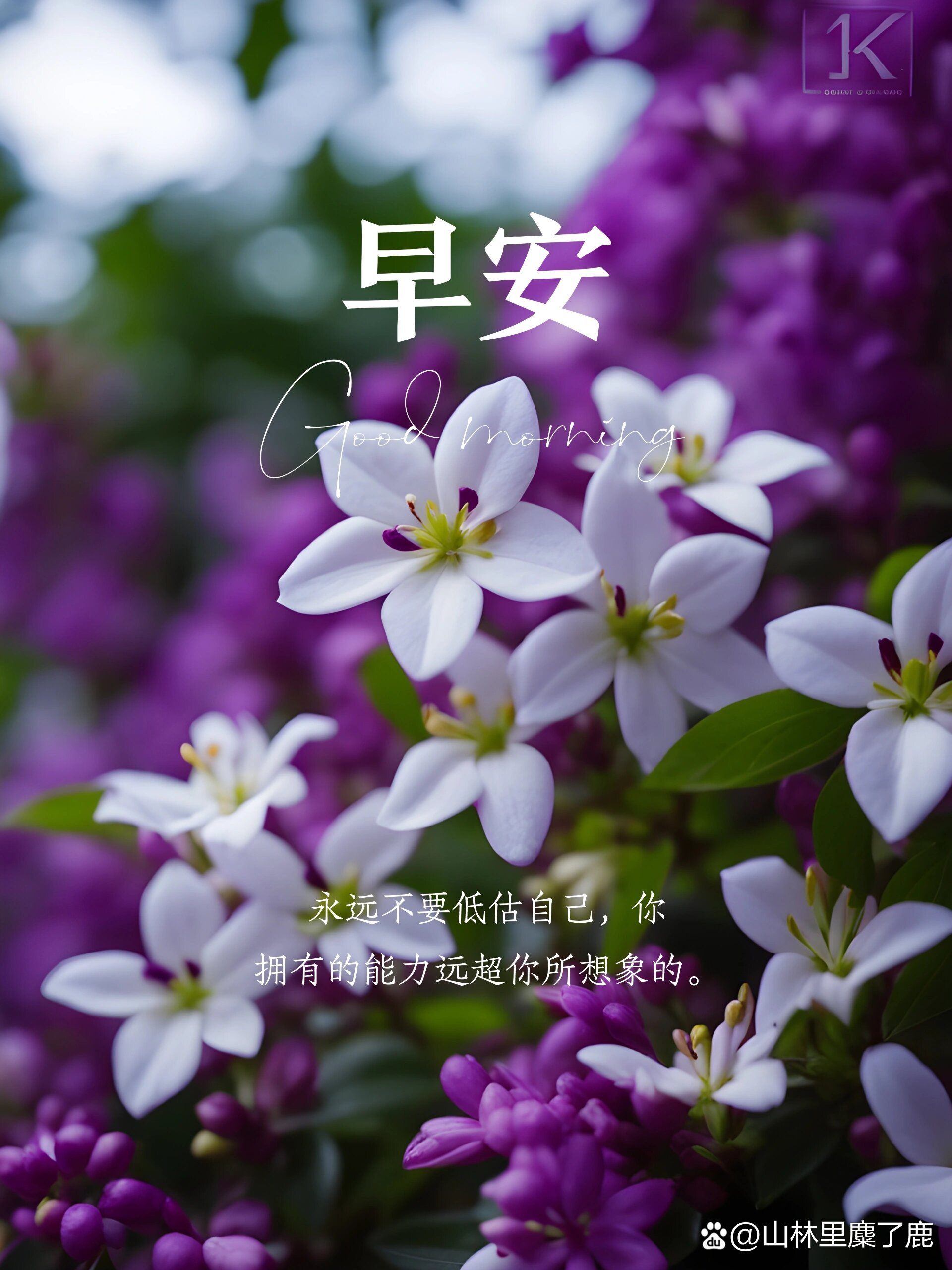 最吸引人的早安朋友圈(最吸引人的早安朋友圈 女人)