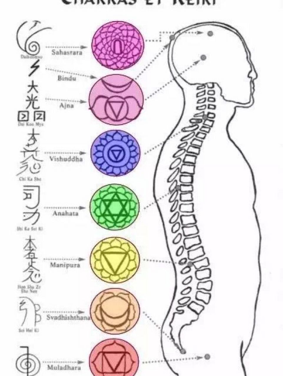 脉轮疗愈—海底轮 海底轮(海底能量中心) 海底轮能量淤堵的表现: 伴侣
