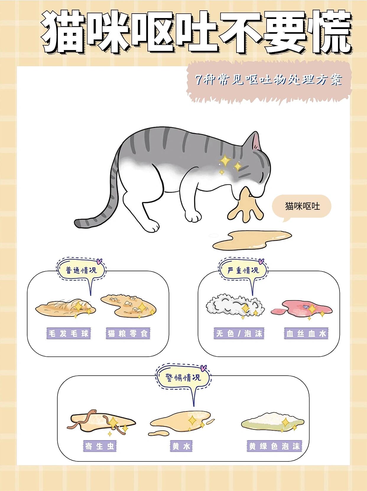 猫咪为什么会呕吐