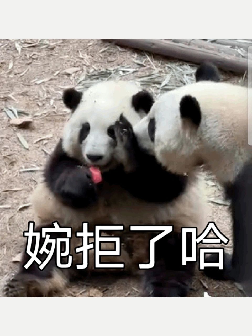 从此婉拒表情包有了!