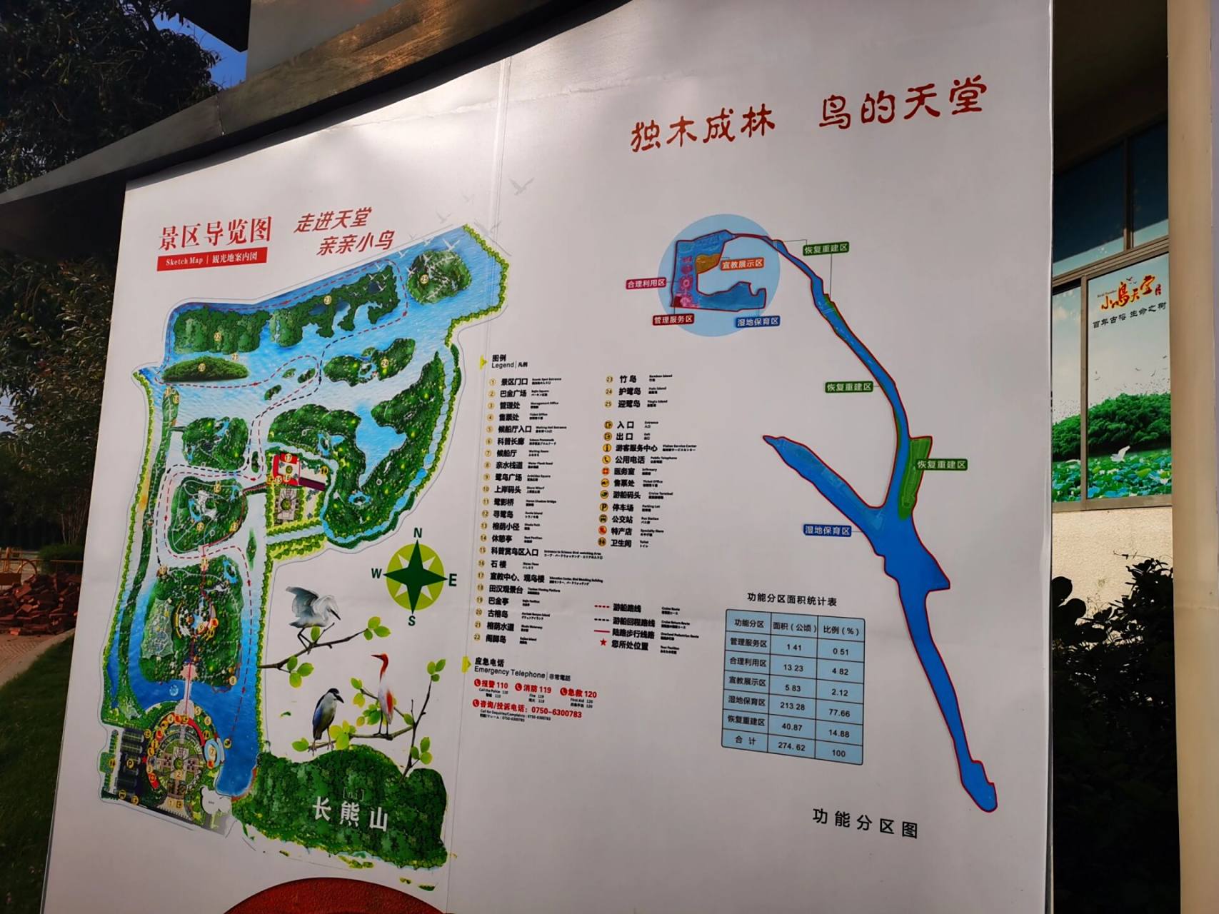 江门游玩攻略-小鸟天堂 93巴金的一篇散文鸟的天堂,对这个景点描述