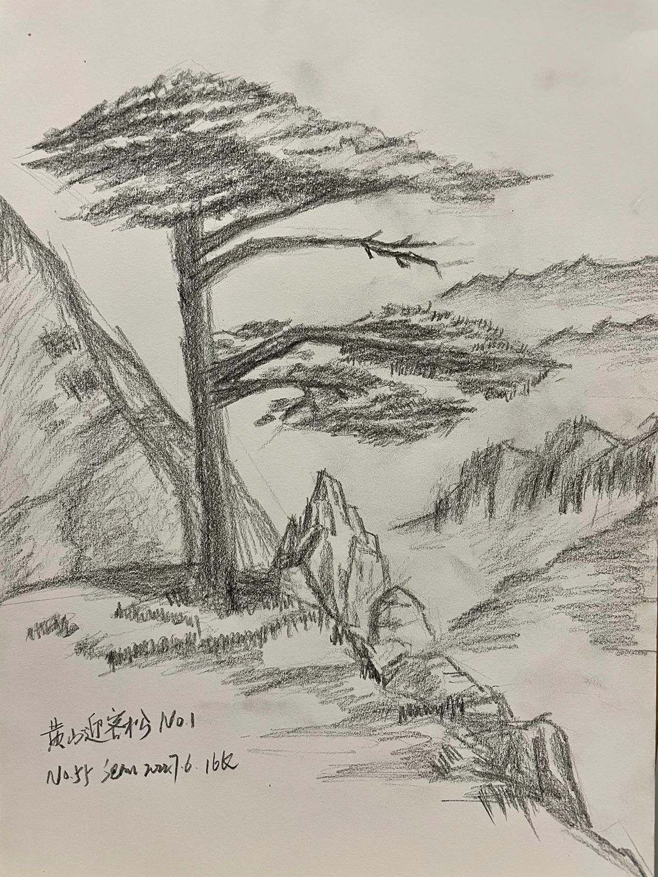 素描迎客松图片图片