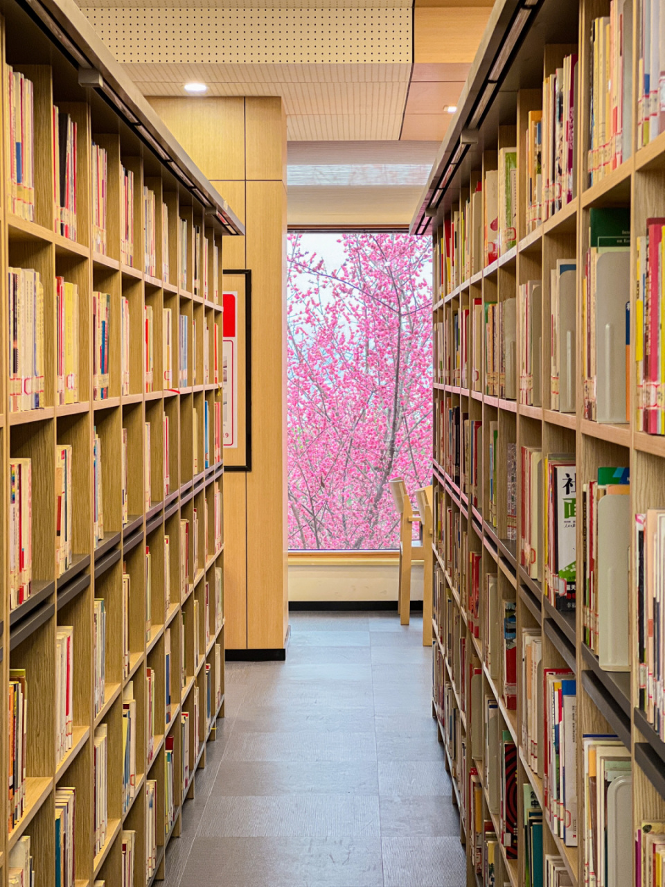 重庆最美图书馆📖在森林中享受阅读的乐趣 📖鸿恩寺图书馆终于又