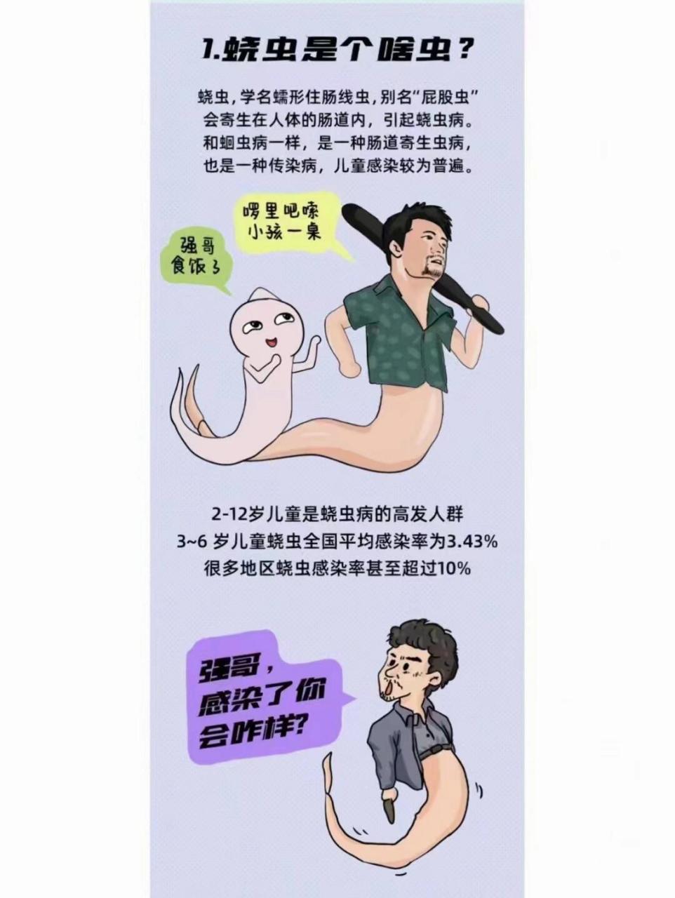 猫寄生虫会传染给人吗图片