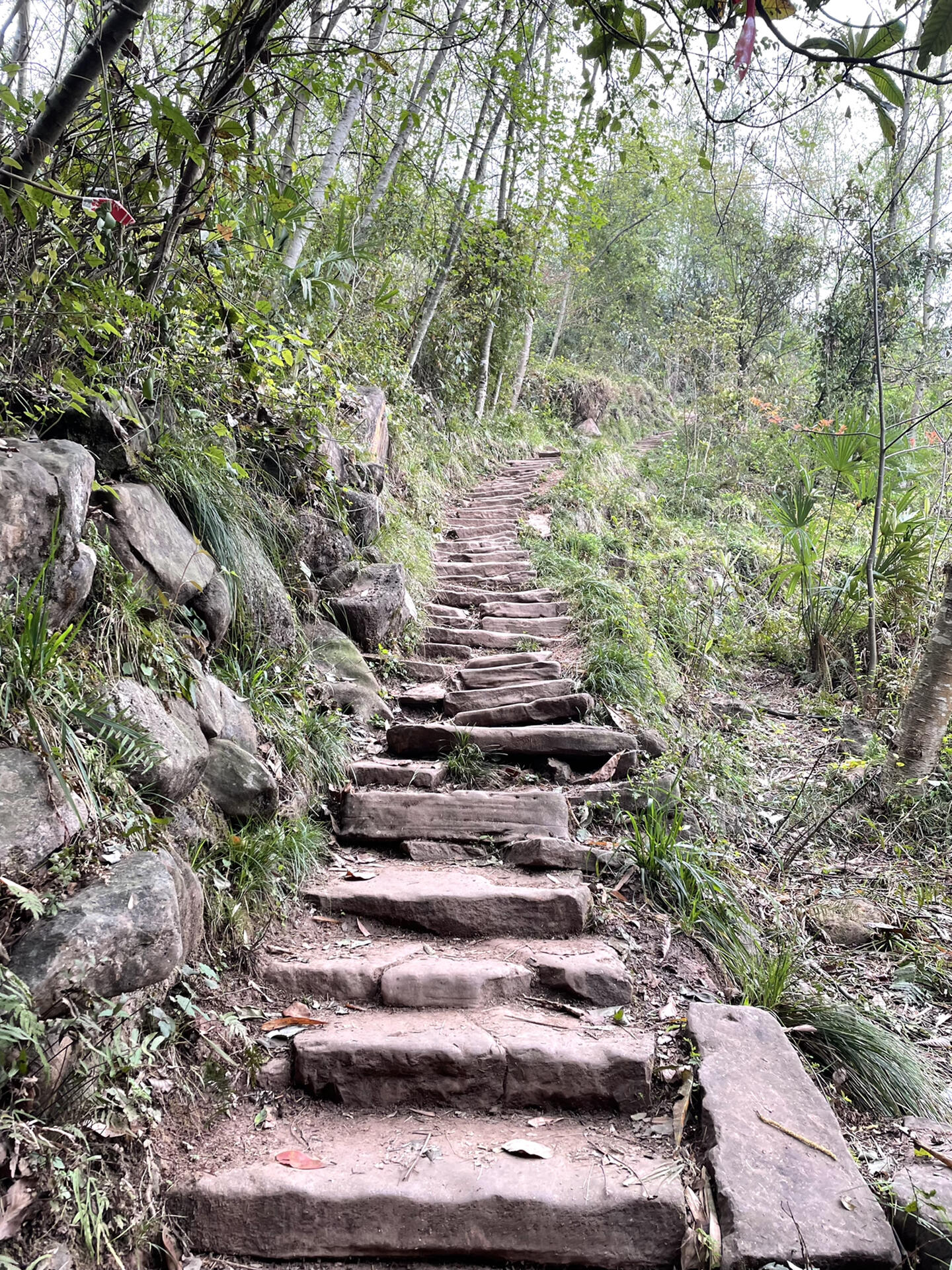 大邑大邑鹤鸣山图片