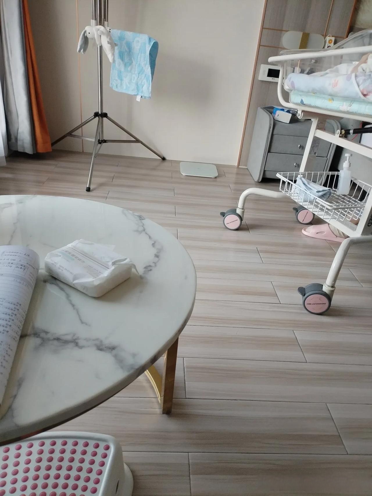 说什么月嫂啊育婴师啊不都是保姆吗