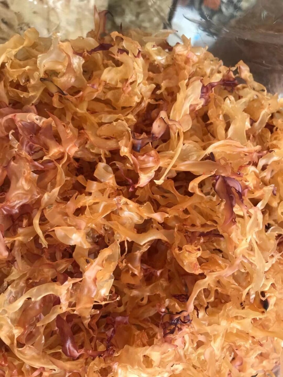 佛祖菜 【美称海底燕窝】具有清热解毒,养胃 佛祖菜 【美称海底燕窝】