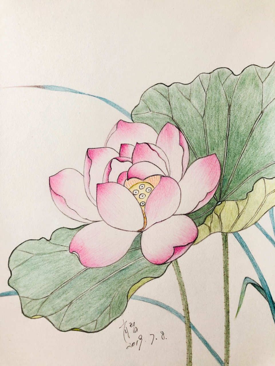 编号258(临摹) 8k素描纸 辉柏嘉60色水溶性彩铅.