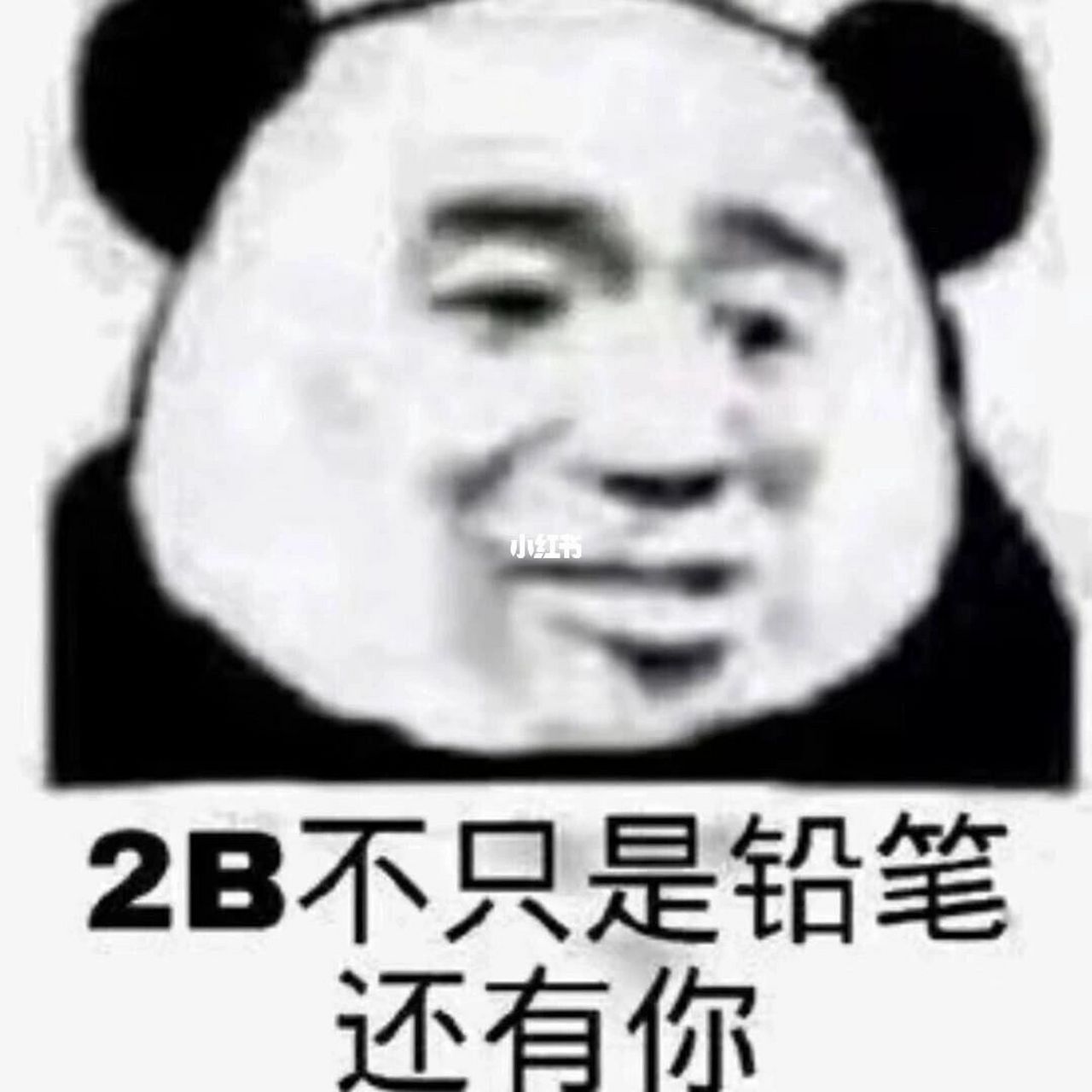 骂人可爱的表情包图片