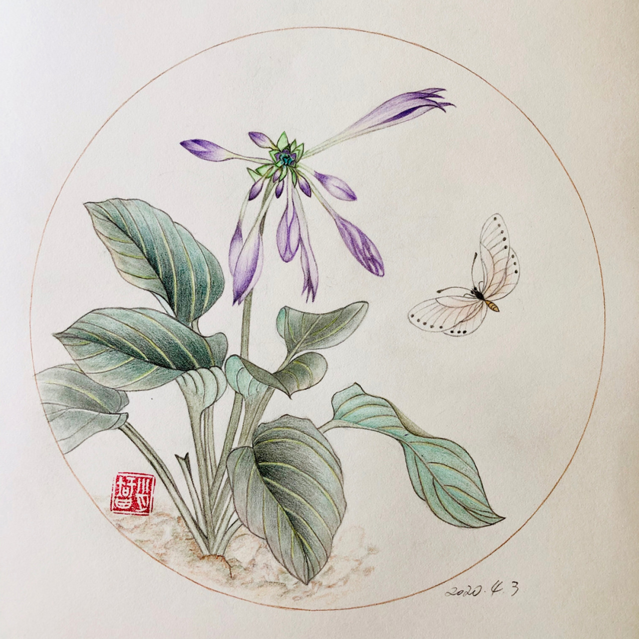 编号358(原创画于北京东亚奥北)紫玉簪; 浪人文化a3