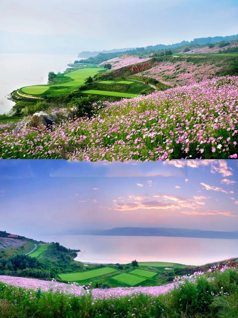 避暑圣地|云南度假不可错过的高尔夫球场 96春城湖畔度假村位于昆明