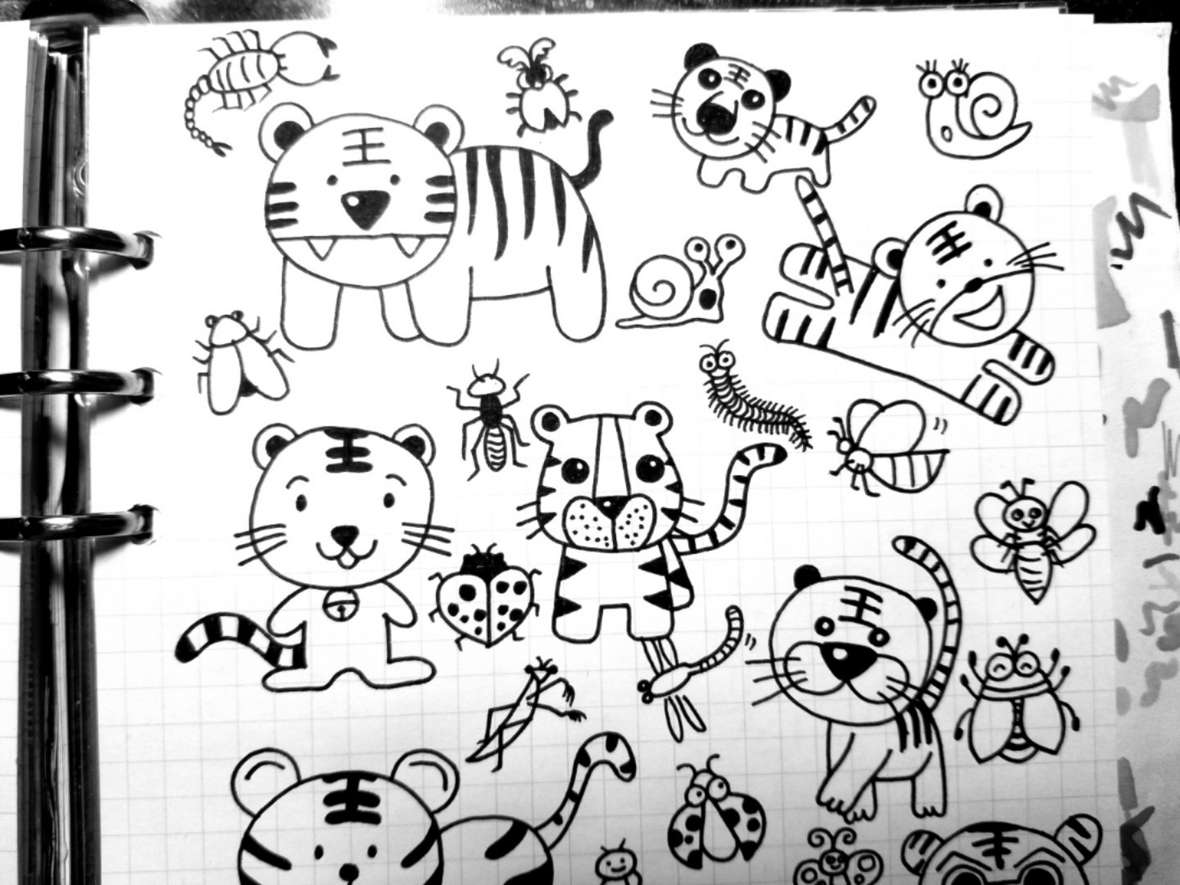 62 十二生肖简笔画素材之大老虎 手帐手抄报海报通用元素老虎🐯顺便