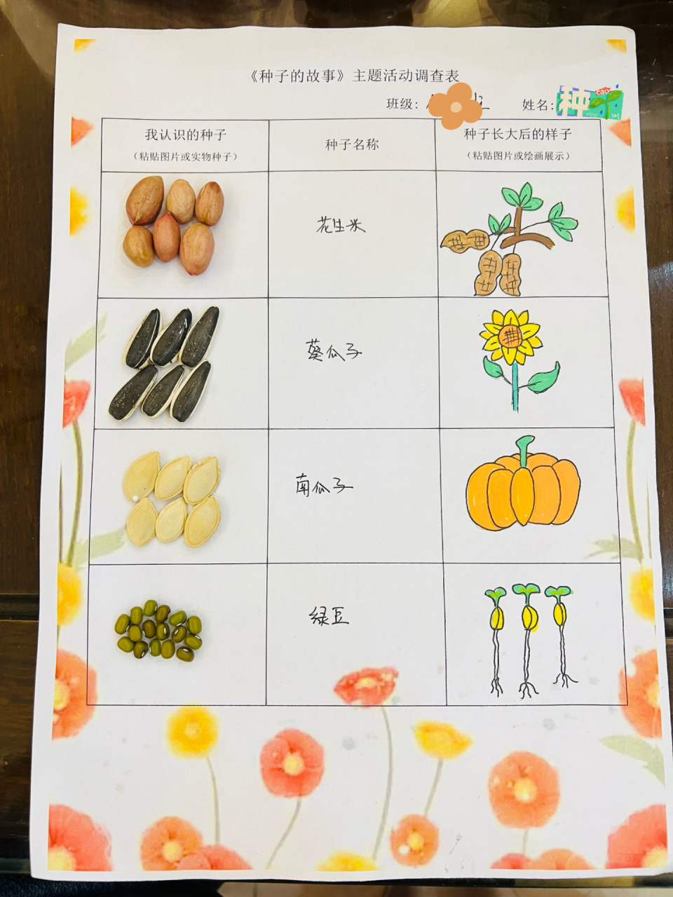 大班种子调查表图片