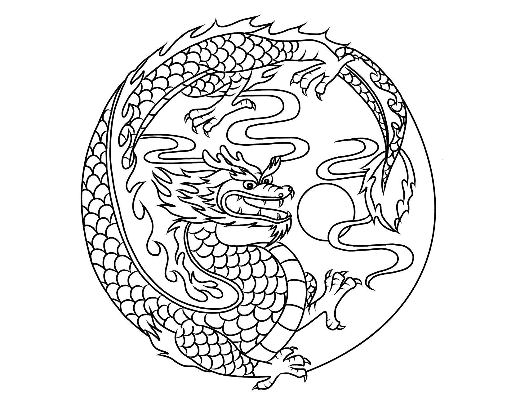 龙的传人 | 龙创意画 龙的创意画 先观察龙的组成部分 龙角龙鳞龙爪