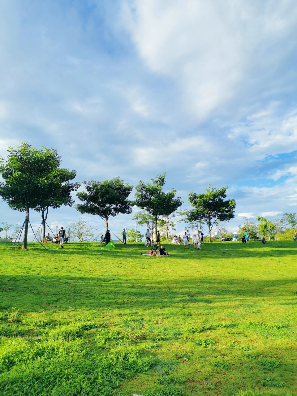 凤凰山下的人才林公园,宝安宝藏亲子溜娃地 这是片宝藏公园,很适合溜