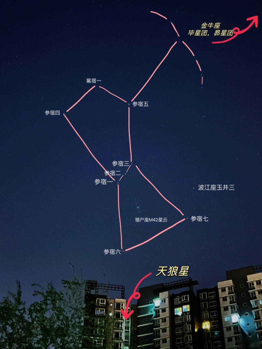 即 猎户座星图猎户座与北斗七星位置图猎户座形状图猎户座是什么星座