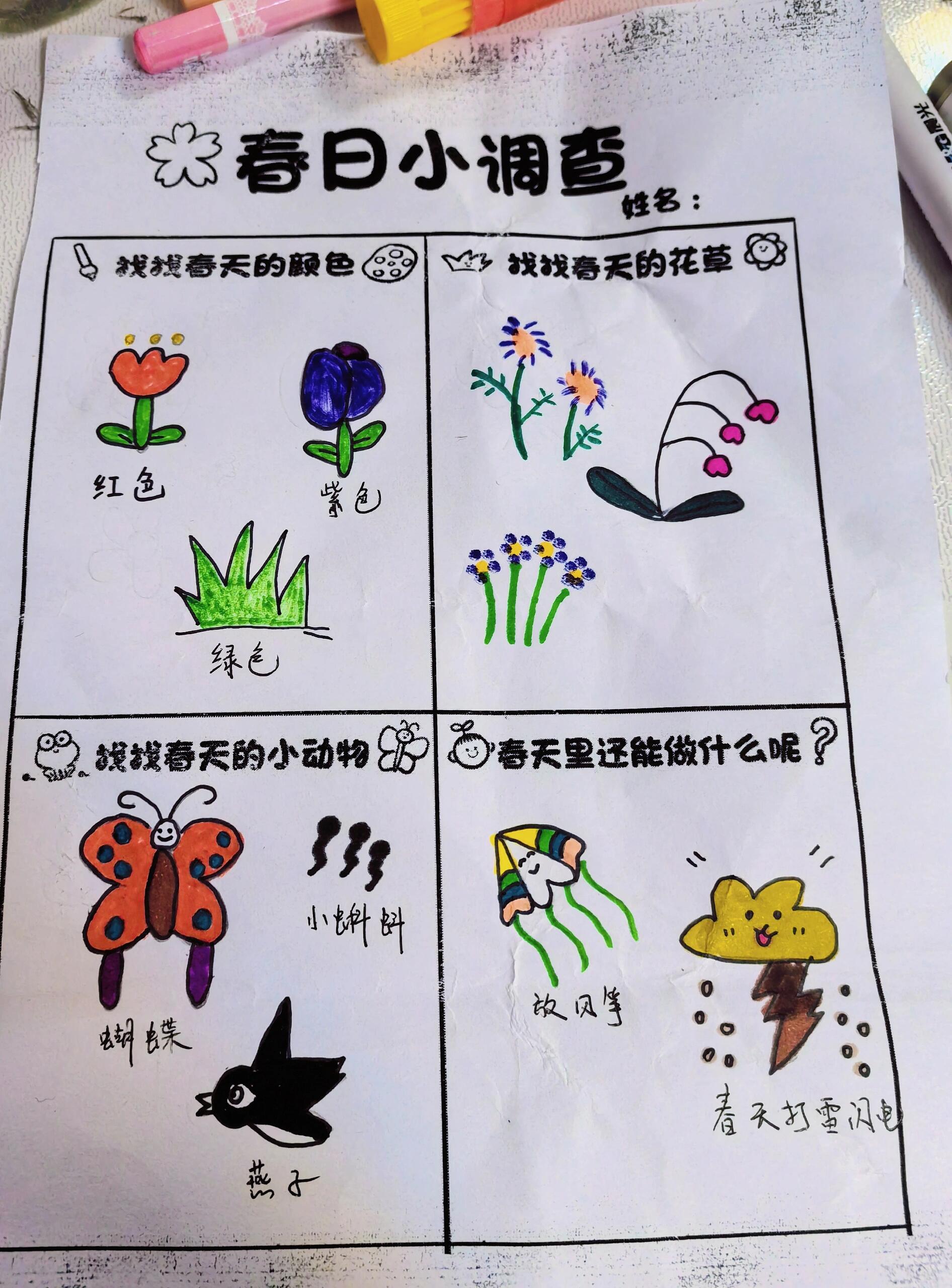 幼儿园寻找春天的花草图片