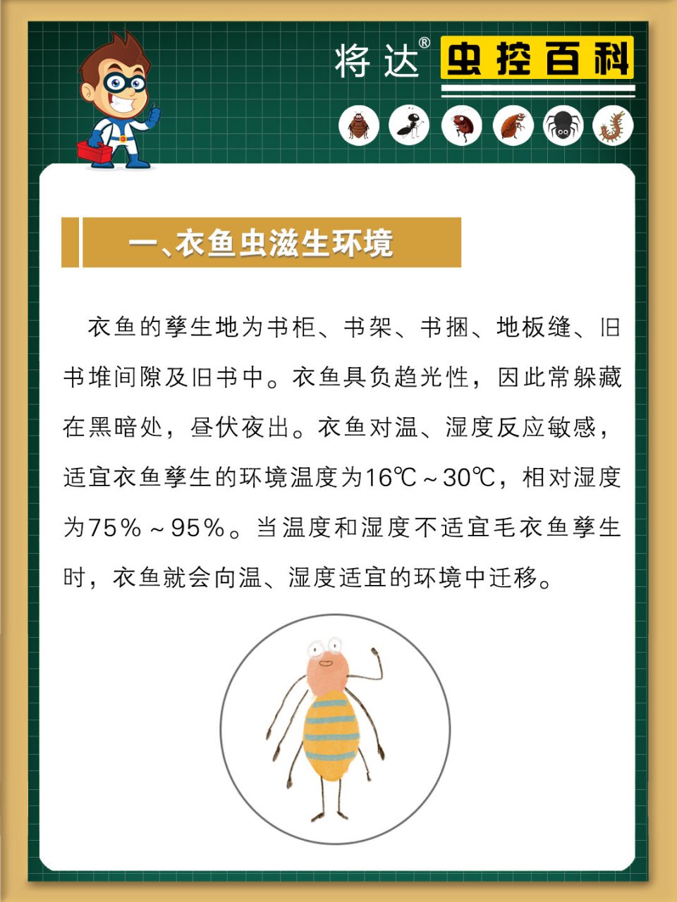 衣鱼虫怎么消灭图片