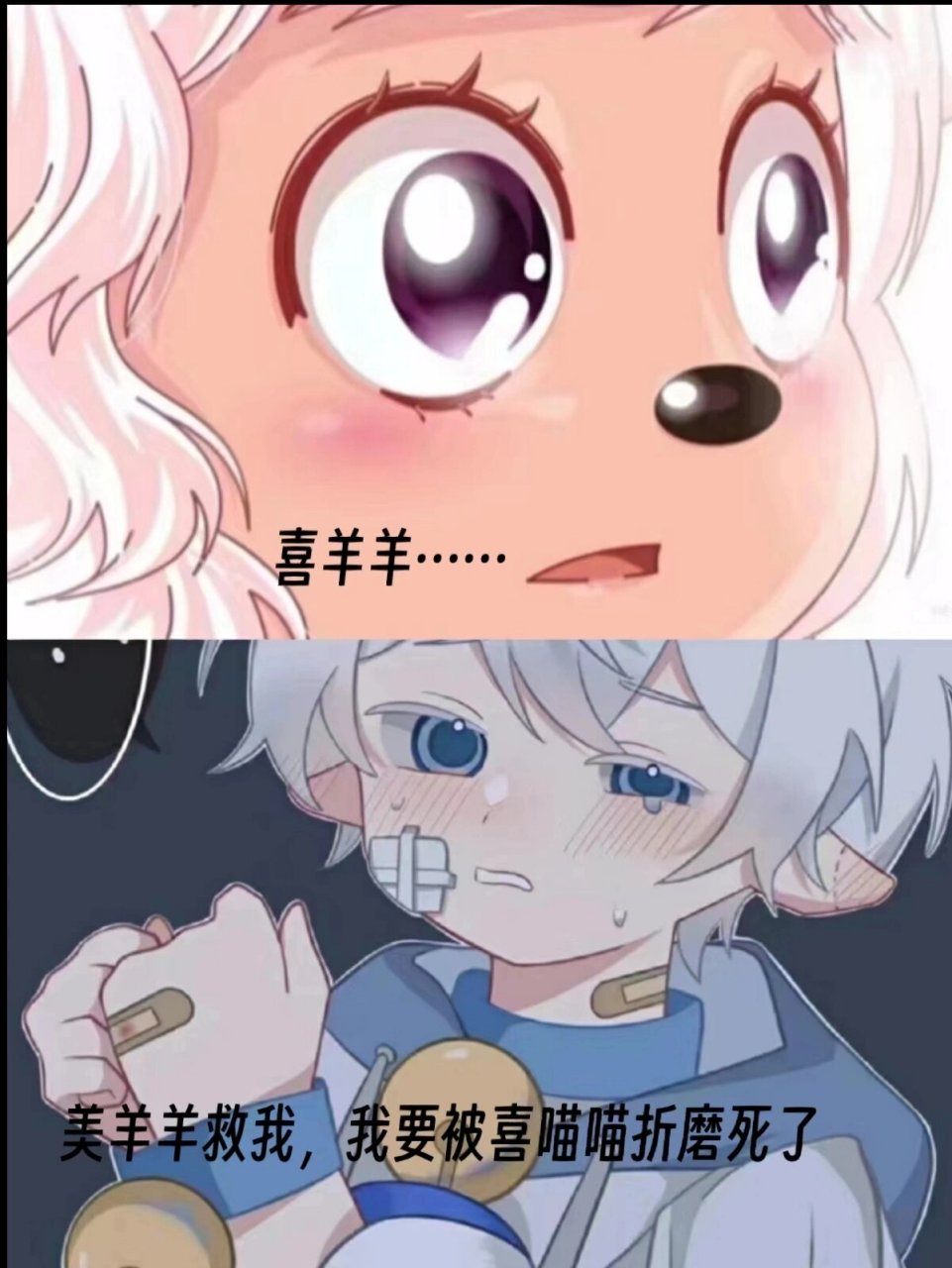 美羊羊和喜喵喵争抢记1