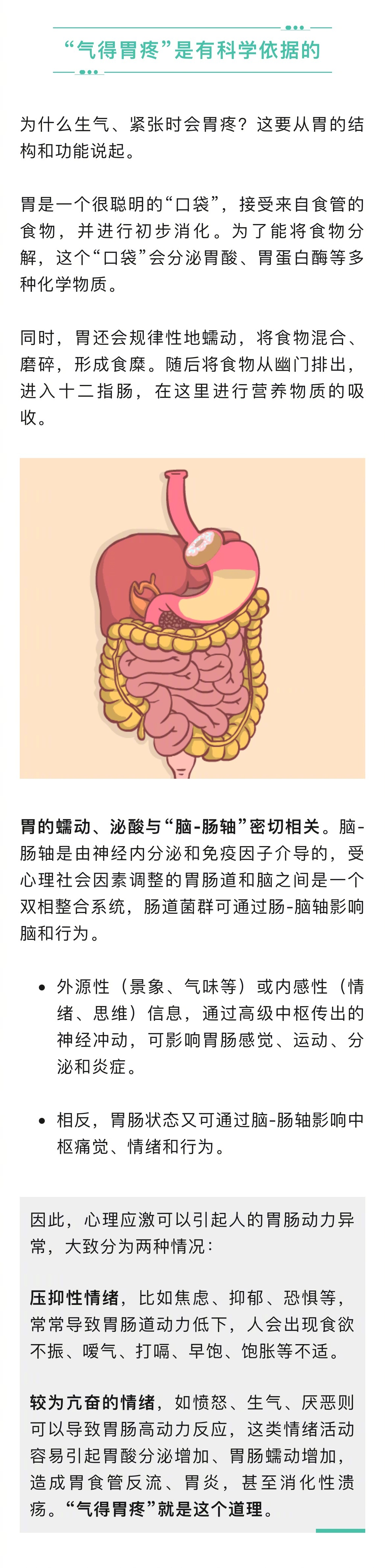 胃的蠕动,泌酸与"脑-肠轴"密切相关,心理应激可以