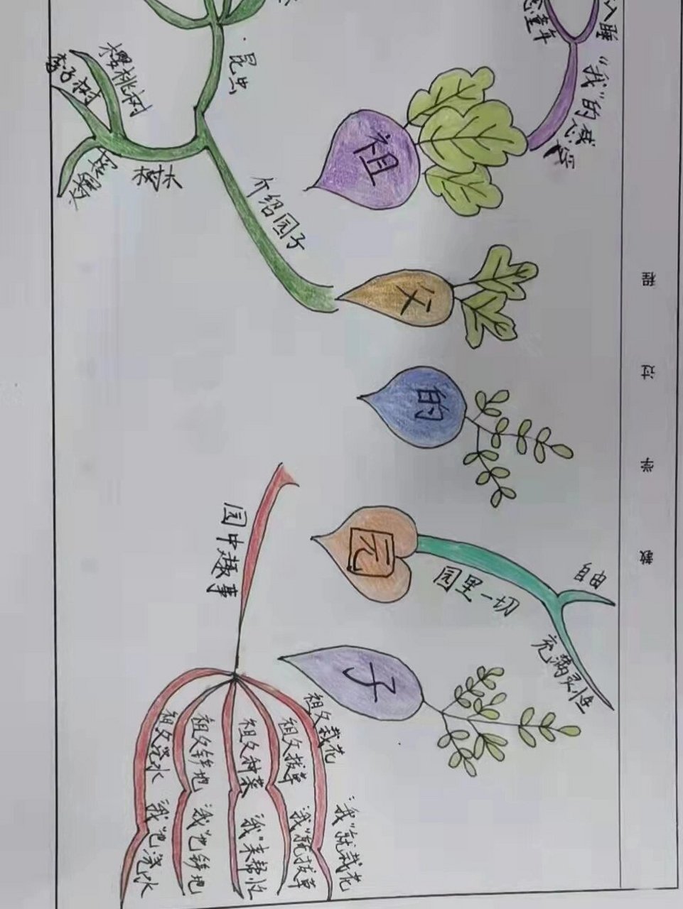 《祖父的园子》《青山处处埋忠骨》思维导图 两张思维导图,需要的宝宝