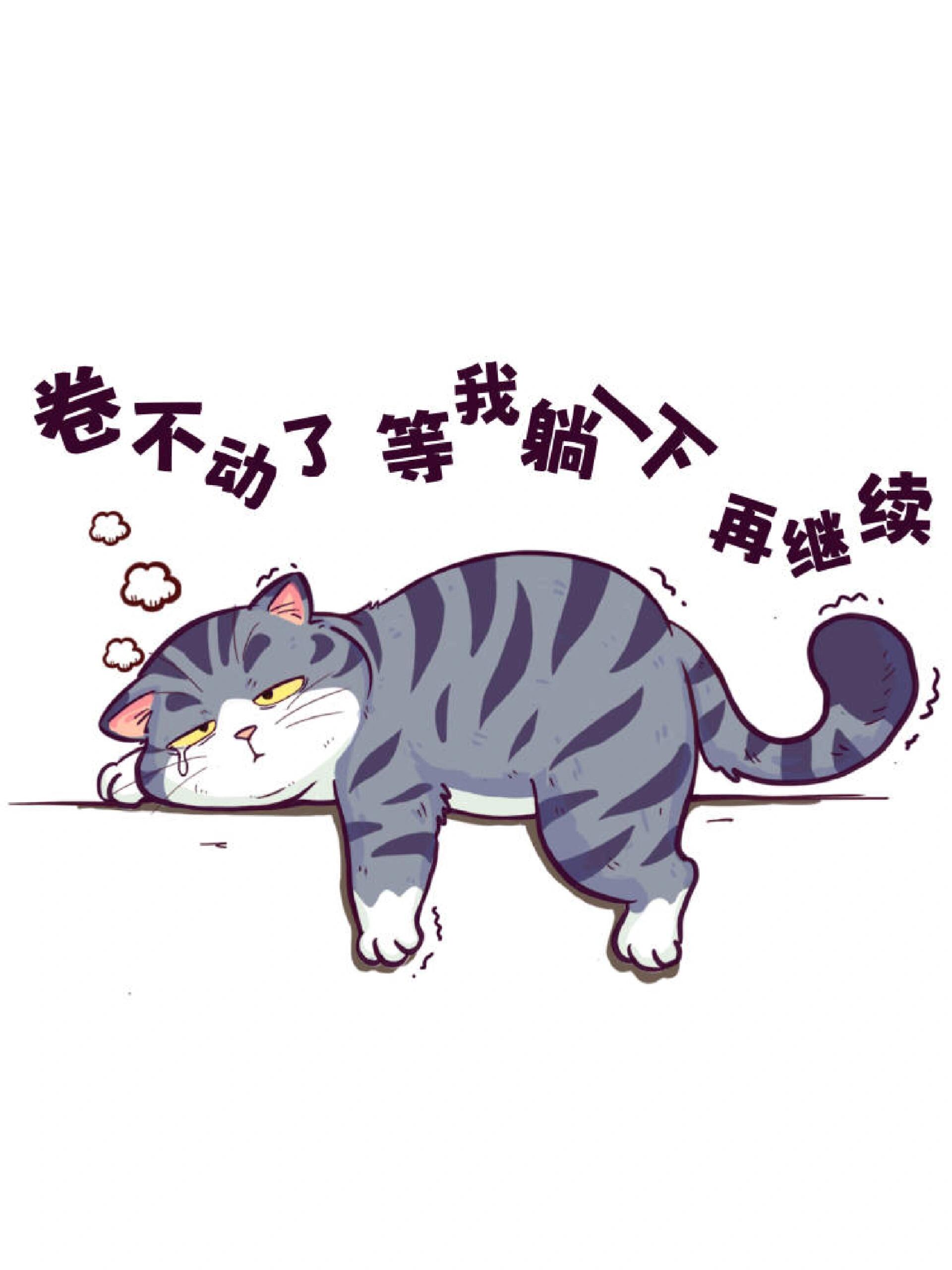 招吉猫 吉吉组 睡觉系列 狸花猫 吉吉 真是累了